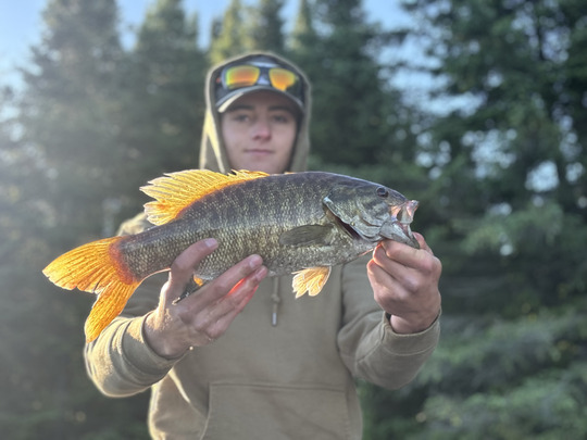 Smallmouth Bass