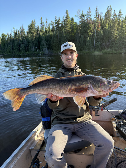 Walleye
