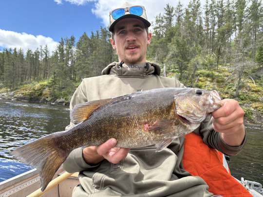 Smallmouth Bass