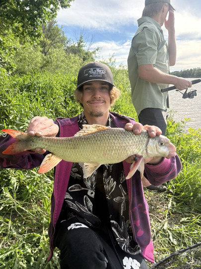 Sucker