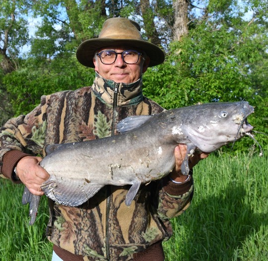 Channel Catfish