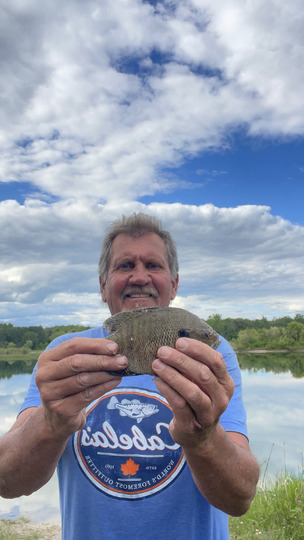 Sunfish