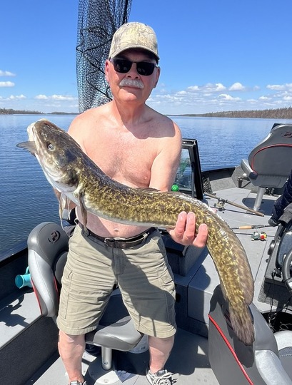 Burbot