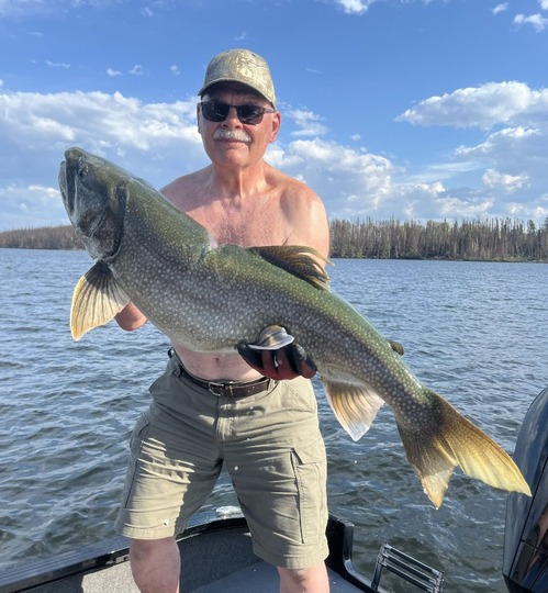 Lake Trout