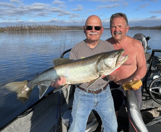 Lake Trout