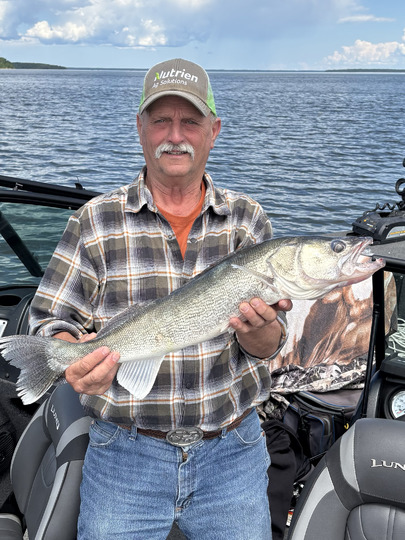 Walleye