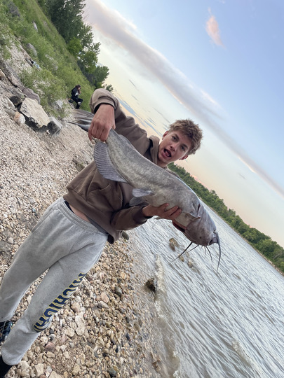 Channel Catfish