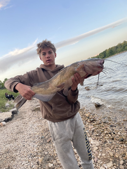 Channel Catfish
