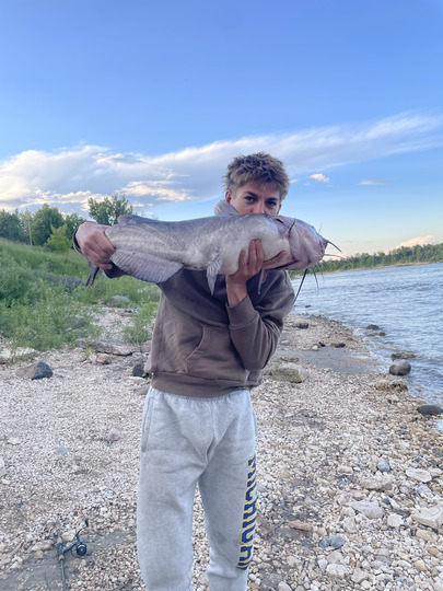 Channel Catfish