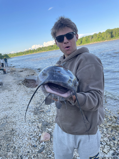 Channel Catfish
