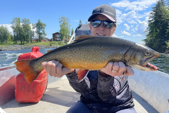 Brook Trout