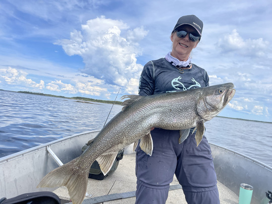 Lake Trout