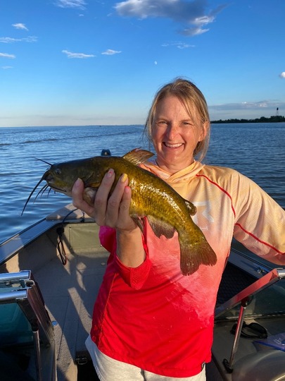 Bullhead