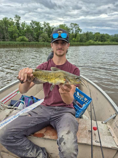 Bullhead