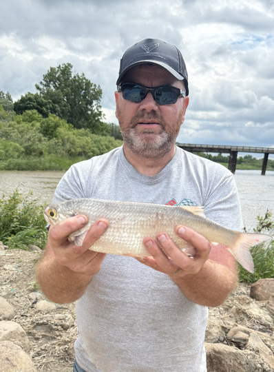 Goldeye