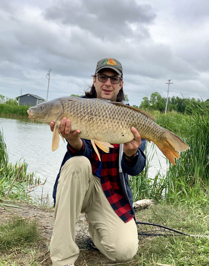 Common Carp