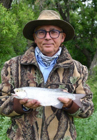 Goldeye