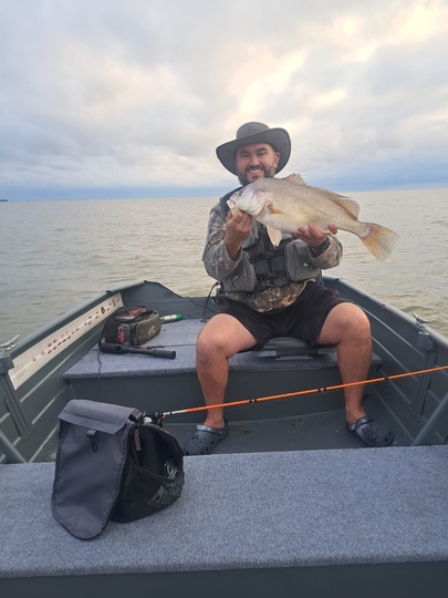 Freshwater Drum
