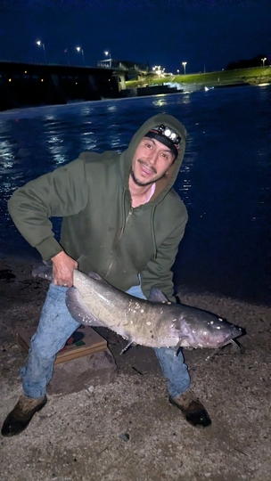 Channel Catfish
