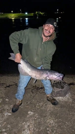 Channel Catfish
