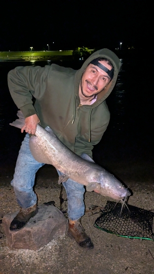 Channel Catfish