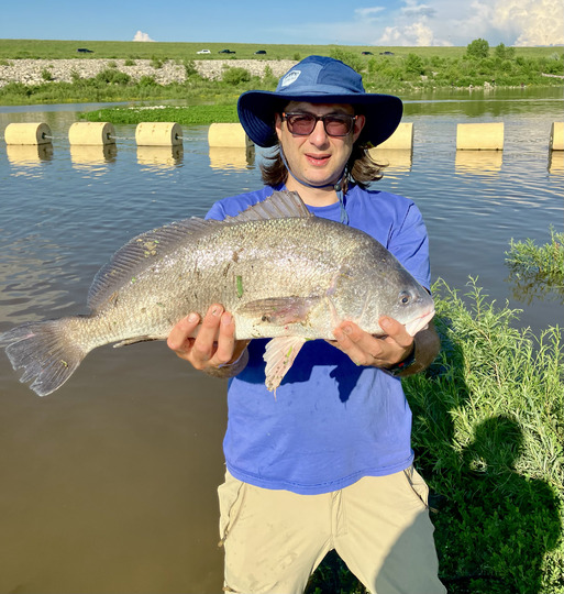 Freshwater Drum
