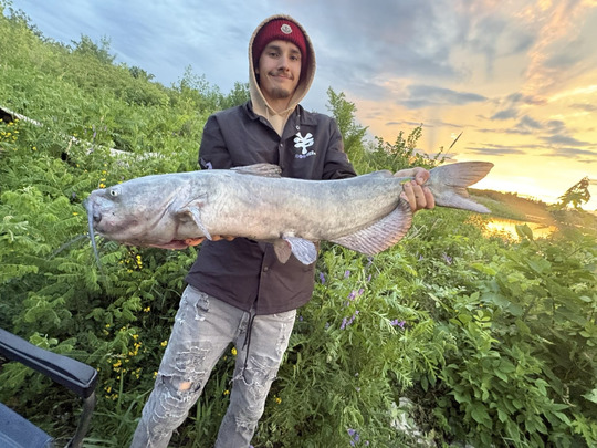Channel Catfish