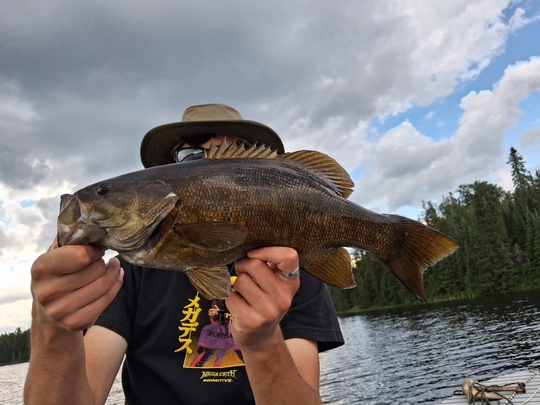 Smallmouth Bass