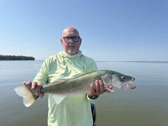 Walleye