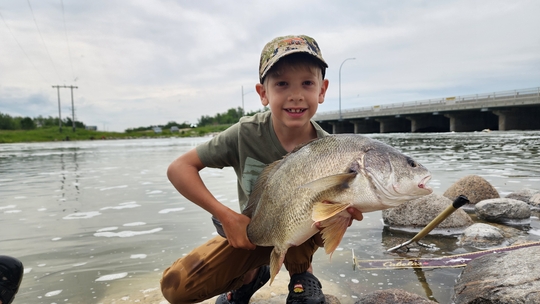 Freshwater Drum