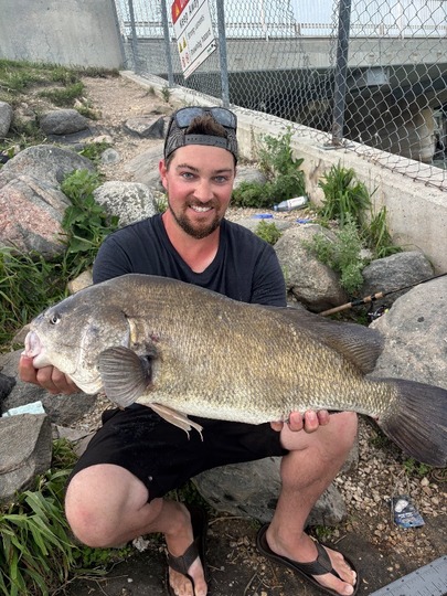 Freshwater Drum