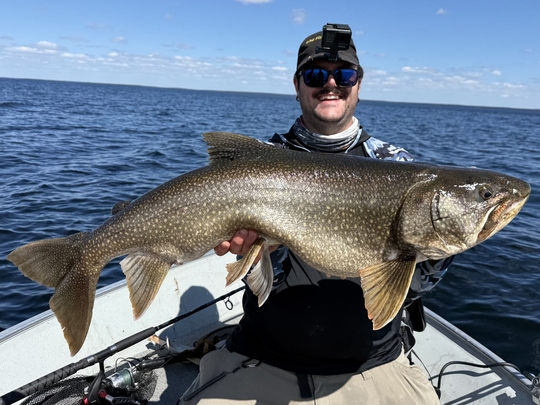 Lake Trout