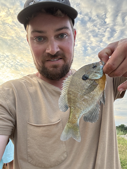 Sunfish