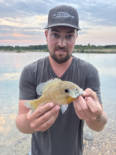 Sunfish