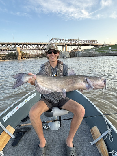 Channel Catfish