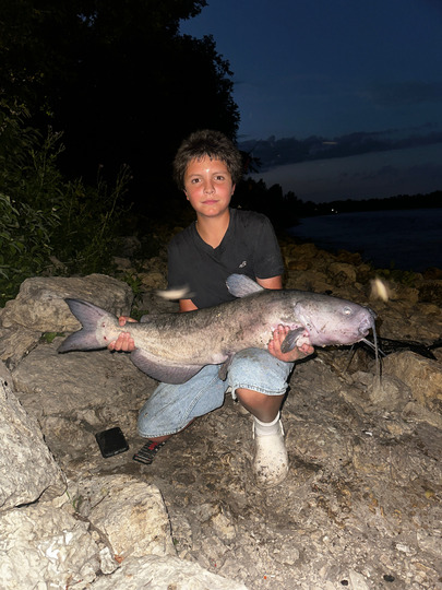 Channel Catfish