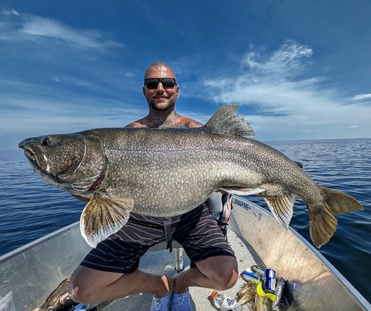 Lake Trout