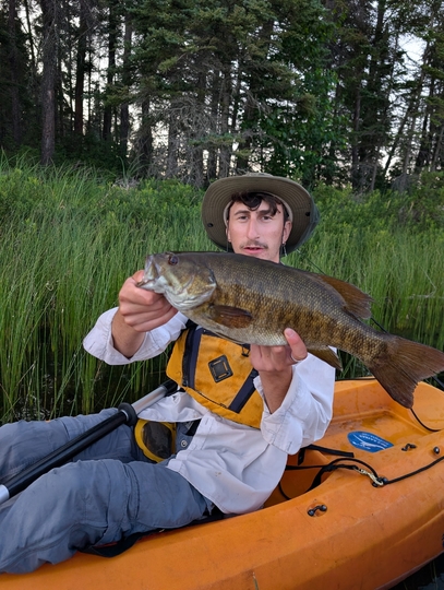 Smallmouth Bass