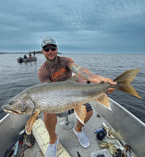 Lake Trout