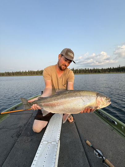 Rainbow Trout