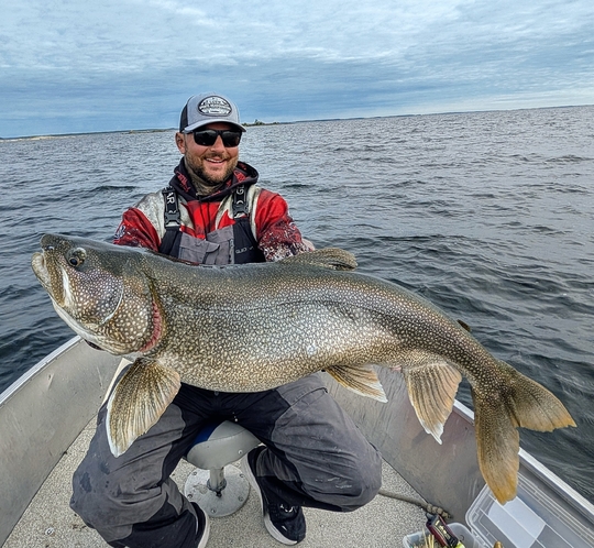 Lake Trout
