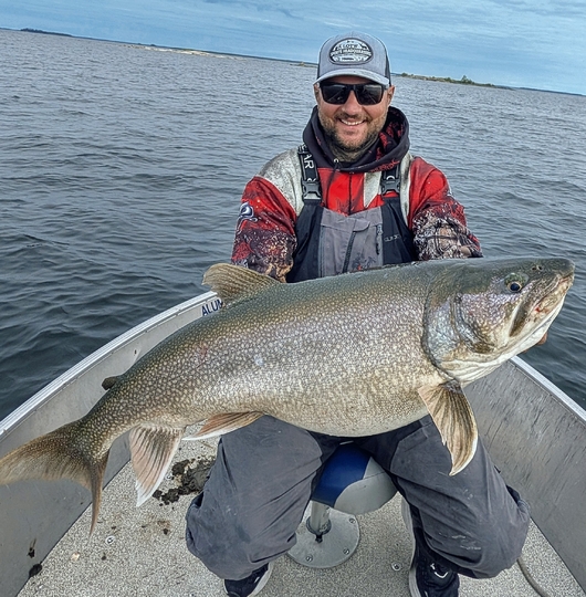 Lake Trout