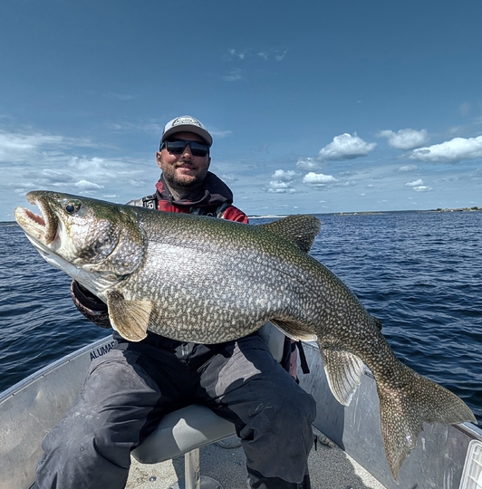 Lake Trout