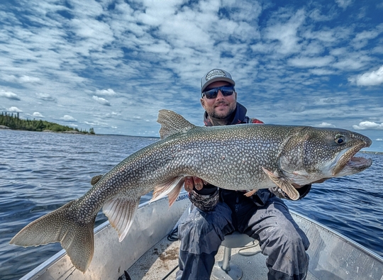 Lake Trout