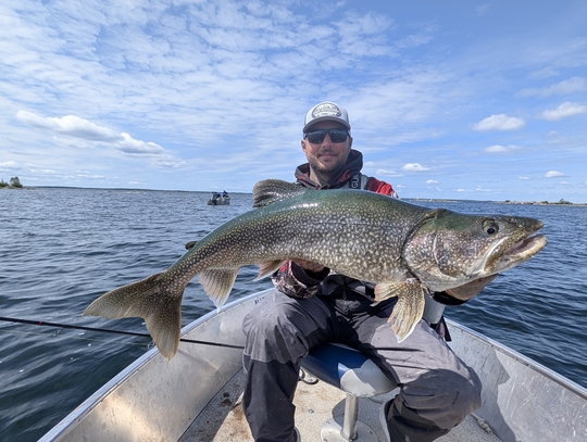 Lake Trout