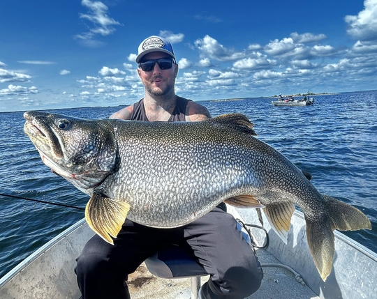 Lake Trout