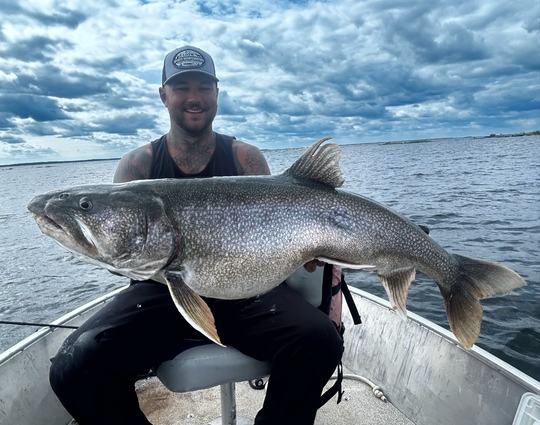 Lake Trout