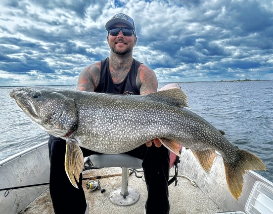 Lake Trout