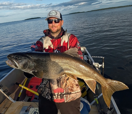Lake Trout