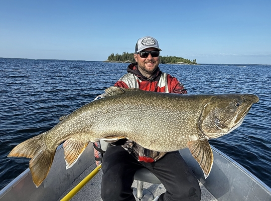 Lake Trout